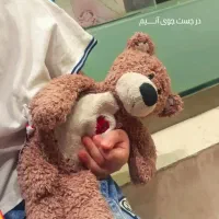 گمشده، خرس عروسکی