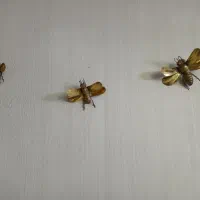 سه عدد سنجاقک برنج