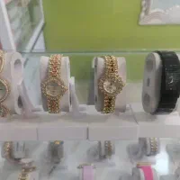 نگینی مجلسی