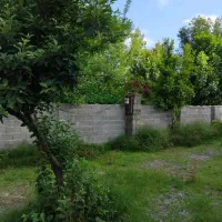 خانه روستایی ۵۰۰ متری خوش قیمت خشکبیجار زیباکنار|فروش خانه و ویلا|رشت, دیلمان|دیوار