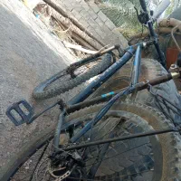 دوچرخه دنده ای|دوچرخه، اسکیت، اسکوتر|سیب و سوران, |دیوار