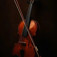 آموزش ویولن توسط مدرس خانوم