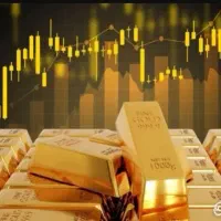 هدیه برنامه طرح جدید