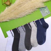 پخش عمده حوراب|لباس|تهران, بازار|دیوار