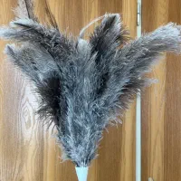 گردگیر پر شترمرغ عمده و تک|لوازم نظافت|تهران, نیروی هوایی (پیروزی)|دیوار