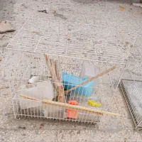 قفس|لوازم جانبی حیوانات|قوچان, |دیوار