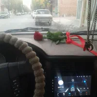 میش با پژو معاوضه میکنم|حیوانات مزرعه|کرچمبو, |دیوار