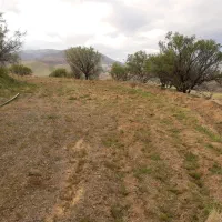 اجاره زمین کشاورزی برای صیفی جات و سبزی