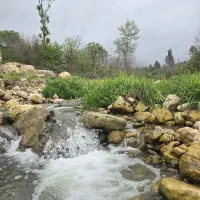 320-مترزمین-دارای-مجوز-ساخت-و-سند-دردل-جنگل