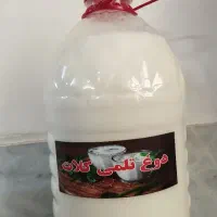 دوغ تلمی گوسفندی