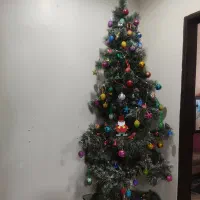 درخت کاج کریسمس