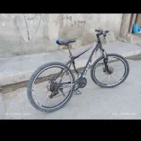دوچرخه کوهستانی ویوا