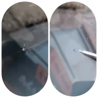 ترمیم تخصصی شیشه در محل سنگ خوردگی 470 ت ترک 670 ت|خدمات موتور و ماشین|سبزوار, هویزه|دیوار