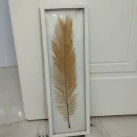 کلکسیون وسایل|کلکسیون و سرگرمی|شاهین‌شهر, شهرک هشت بهشت|دیوار