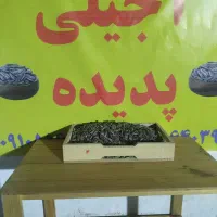 تخمه ایرانی و خارجی