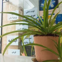 مرکز تخصصی خدمات کافینت و تایپ و ترجمه