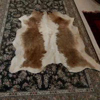 پوست گاودباغی شده باکیفیت|فرش|فردیس, سرحد آباد|دیوار