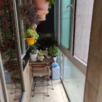 آپارتمان ۸۰ متری سند / بازسازی  / طبقه اول|فروش آپارتمان|رشت, فلسطین|دیوار