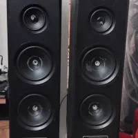 باند دو قلوی رکسون (rexon)