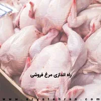 استخدام کارگر ماهر جهت مرغ فروشی