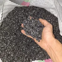 کربن پوست پسته