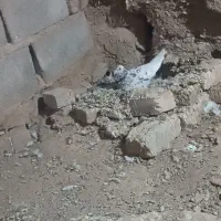 کفتر