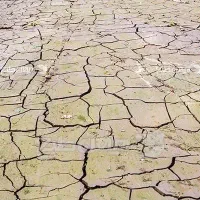 زمین چاه جهاد (دشتخون)