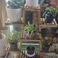 استند گل|گل و گیاه طبیعی|شیراز, شهرک ترکان|دیوار