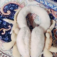 گوشگیر خرسی