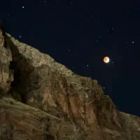 مشاور تحصیلی