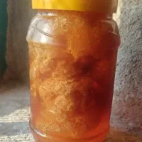 عسل کوهی