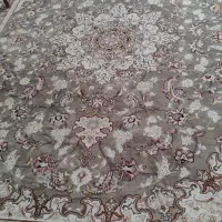 فروش فرش نو