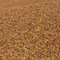 انواع کنسانتره و دان ذرت سویا بوقلمون مرغ بلدرچین|حیوانات مزرعه|بوکان, |دیوار