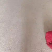 موکت پالاز
