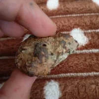 معاوضه با ماشین مشکوک|کلکسیون اشیاء عتیقه|هشترود, |دیوار