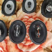 باند پایونیر