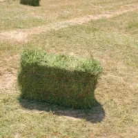 یونجه پرس