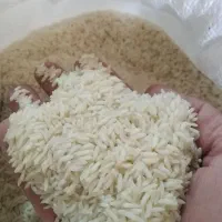 برنج هاشمی سورتینگ شده|خوردنی و آشامیدنی|قم, حاج زینل|دیوار