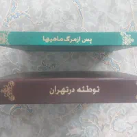 دو جلد کتاب نفیس قدیمی|کتاب و مجله تاریخی|تهران, تختی|دیوار