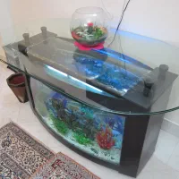 میز ناهار خوری با پایه آکواریوم|میز و صندلی غذاخوری|اصفهان, باغ کاران|دیوار