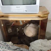 تلویزیون ۲۱|تلویزیون و پروژکتور|دامغان, |دیوار