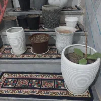 گلدان سرامیکی