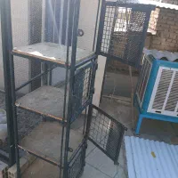 جفت کن کبوتر وقفس حیوان نگهبان|لوازم جانبی حیوانات|کرج, مرکز تحقیقات البرز|دیوار