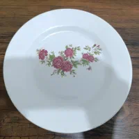 یک دست ملامین پلوخوری نو