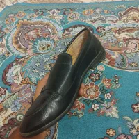 کفش مجلسی|کیف، کفش، کمربند|بهارستان, |دیوار