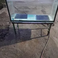 آکواریوم ماهی