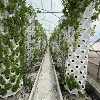 فروش گلخانه آیروپونیک در جاده جویبار|فروش دفتر صنعتی، کشاورزی، تجاری|قائم‌شهر, |دیوار