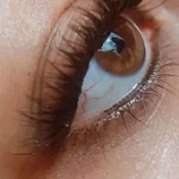 ناخن و مژه اندیشه|خدمات آرایشگری و زیبایی|تبریز, |دیوار