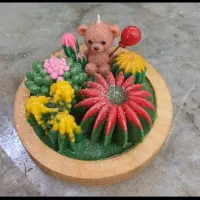 باغچه کاکتوس|کلکسیون و سرگرمی|قم, چهار مردان|دیوار