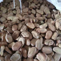 باقالی درجه یک